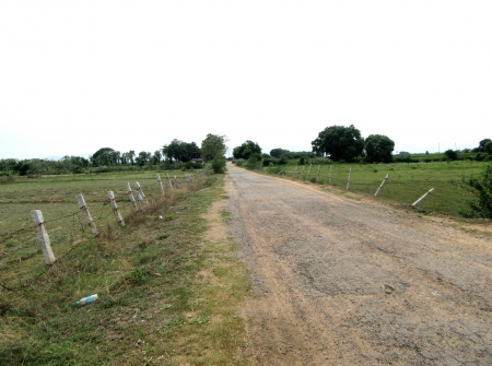 6) Li Id 225 - Pic 7.JPG
